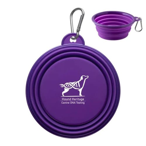 Collapsible Silicone Pet Bowl