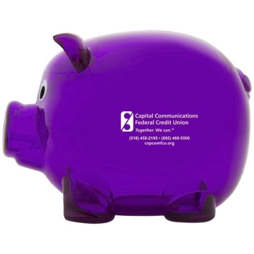 Mr. Piggy Bank
