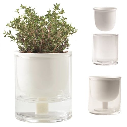 Self Watering Planter