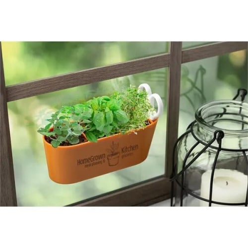 Wall Sprouts Indoor Garden Blossom Kit