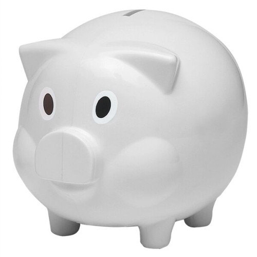 Plastic Piggy Bank