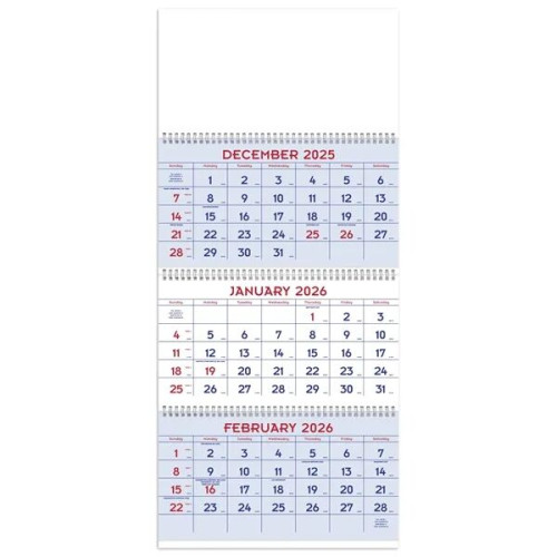 Triumph® Calendars Red & Blue Commercial Planner