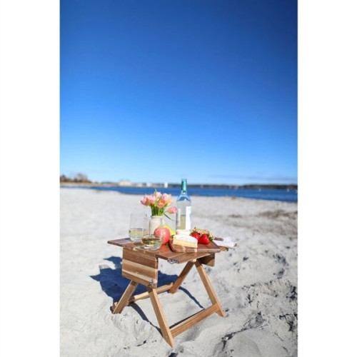 La Cuisine Picnic Table & Carrier