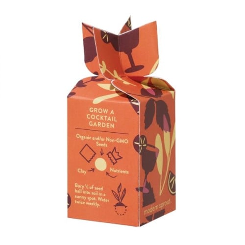 Modern Sprout® Encouragement Seed Bomb