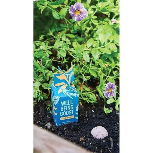 Modern Sprout® Encouragement Seed Bomb