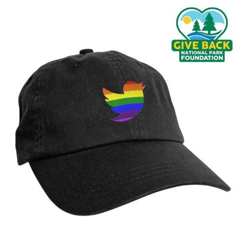 ACE New Fit Cap