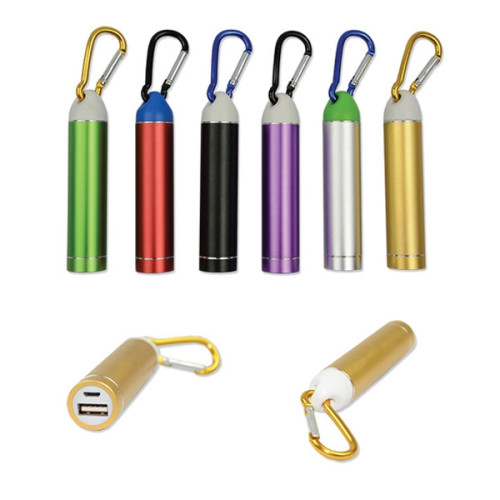Power Bank with Carabiner
