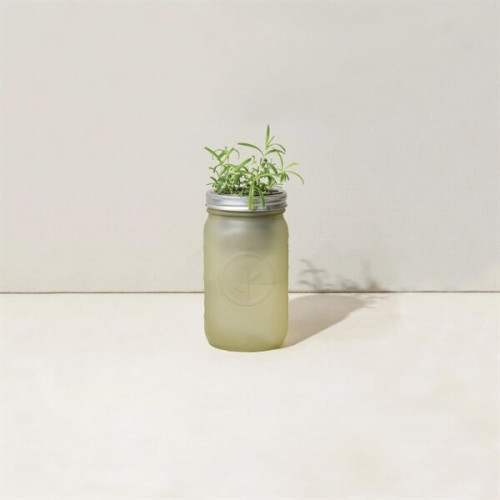 Modern Sprout® Indoor Herb Garden Kit