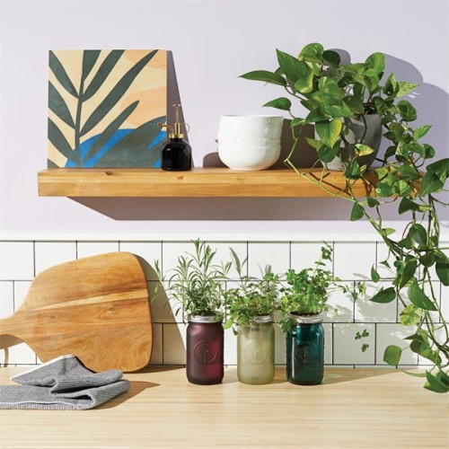 Modern Sprout® Indoor Herb Garden Kit