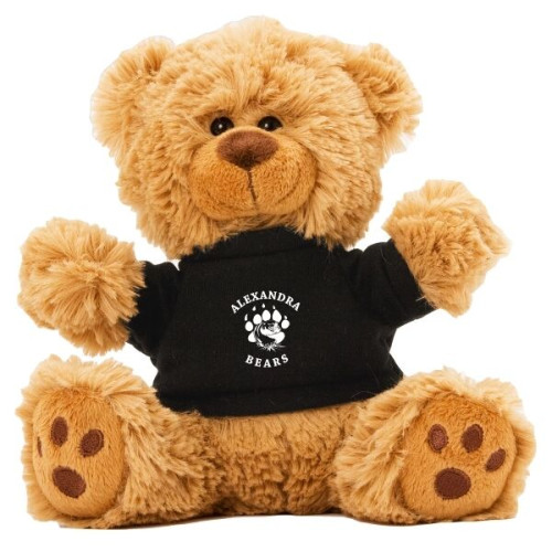 6  Plush Teddy Bear With Choice of T-Shirt Color