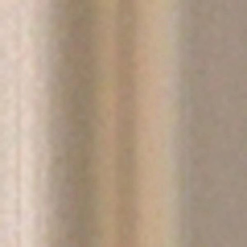 BIC® Clic Stic® Pen