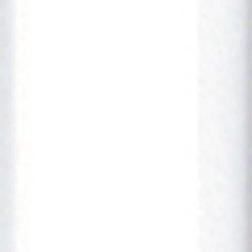 BIC® Clic Stic® Pen
