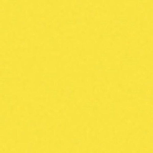 BIC® Clic Stic® Pen