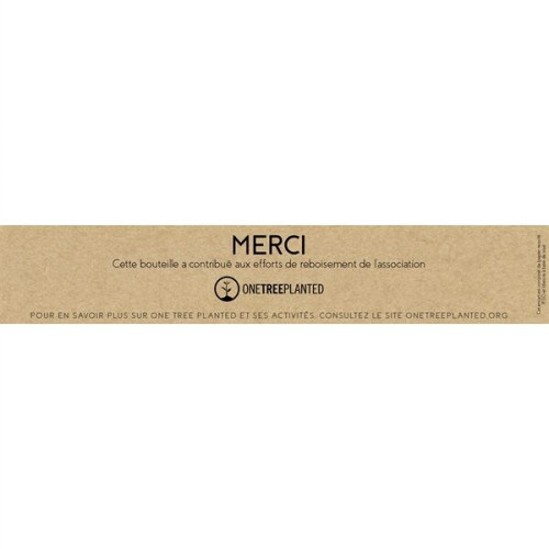 CRUISE CONTROL NATURAL   600 ML / 20 OZ STAINLESS STEEL TUMB