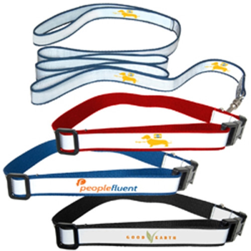 Reflective Dog Collar and Leash Set