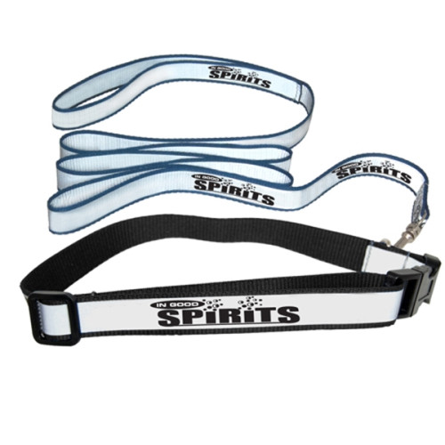 Reflective Dog Collar and Leash Set