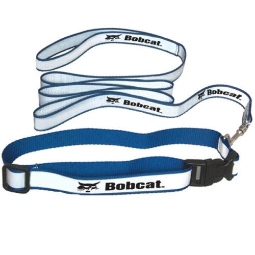 Reflective Dog Collar and Leash Set