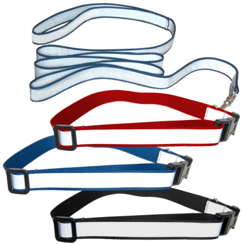 Reflective Dog Collar and Leash Set