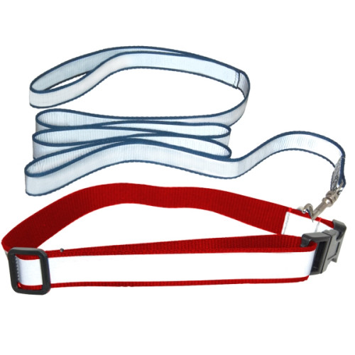 Reflective Dog Collar and Leash Set