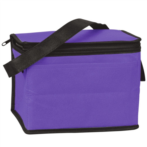 Non-Woven Cooler Bag