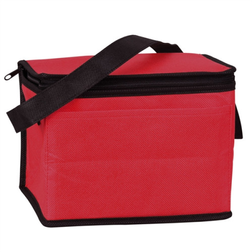 Non-Woven Cooler Bag