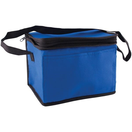 Non-Woven Cooler Bag