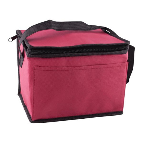 Non-Woven Cooler Bag