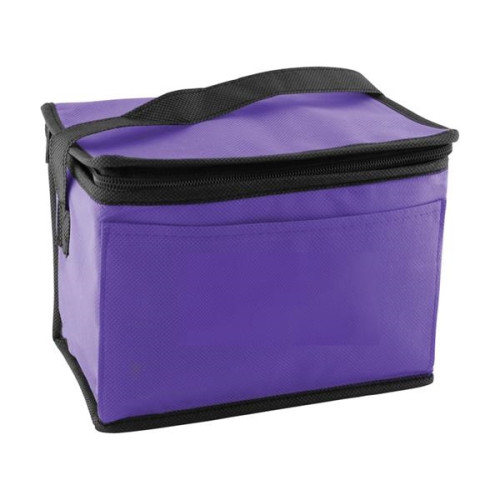 Non-Woven Cooler Bag