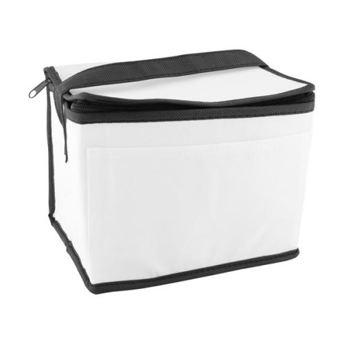 Non-Woven Cooler Bag