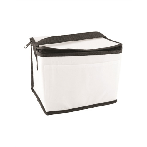 Non-Woven Cooler Bag