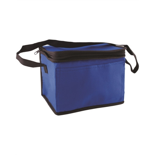 Non-Woven Cooler Bag
