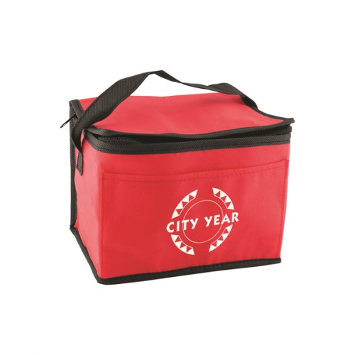 Non-Woven Cooler Bag