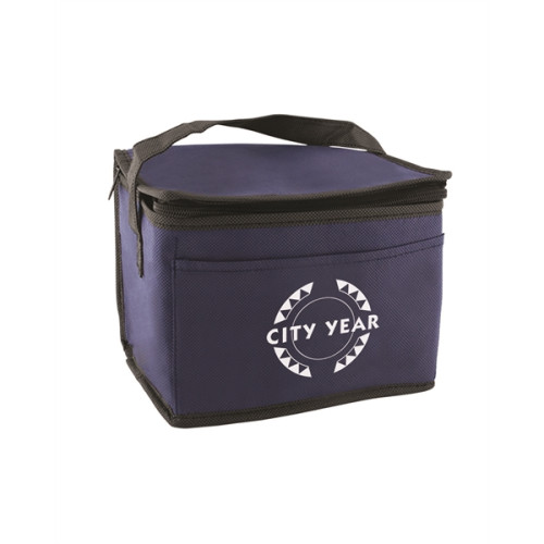Non-Woven Cooler Bag