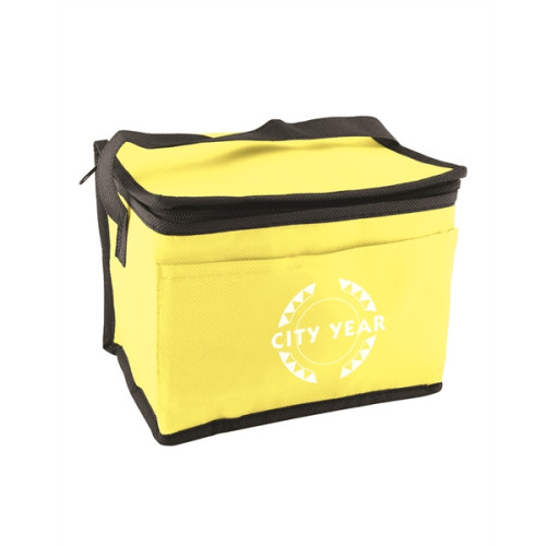 Non-Woven Cooler Bag