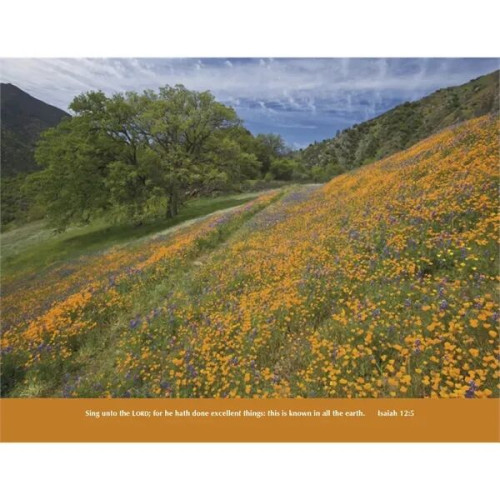 Good Value™ Everlasting Word without Funeral Planner - Sp...