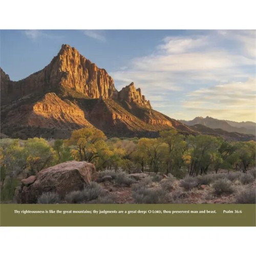 Good Value™ Everlasting Word without Funeral Planner - Sp...