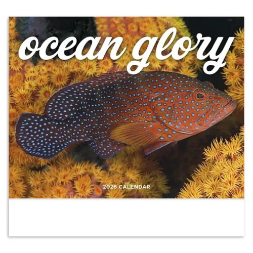 Good Value™ Ocean Glory - Stapled Calendar