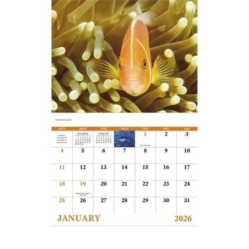 Good Value™ Ocean Glory - Stapled Calendar