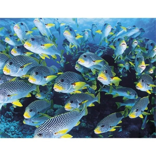 Good Value™ Ocean Glory - Stapled Calendar