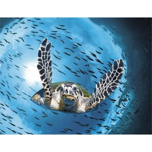 Good Value™ Ocean Glory - Stapled Calendar