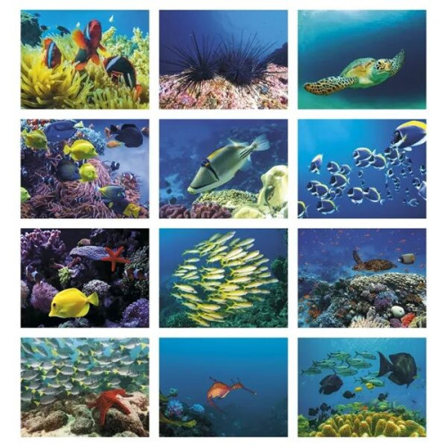 Good Value™ Ocean Glory - Stapled Calendar