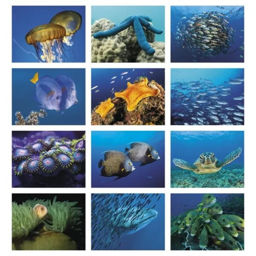 Good Value™ Ocean Glory - Stapled Calendar