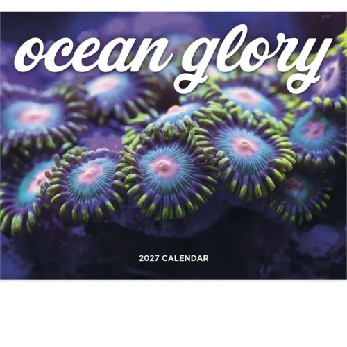 Good Value™ Ocean Glory - Stapled Calendar