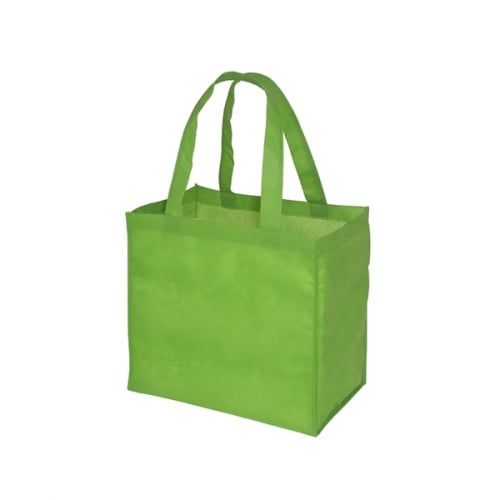 Econo Enviro-Shopper
