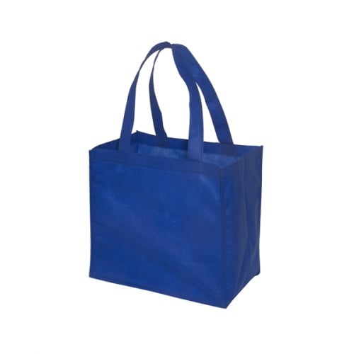 Econo Enviro-Shopper