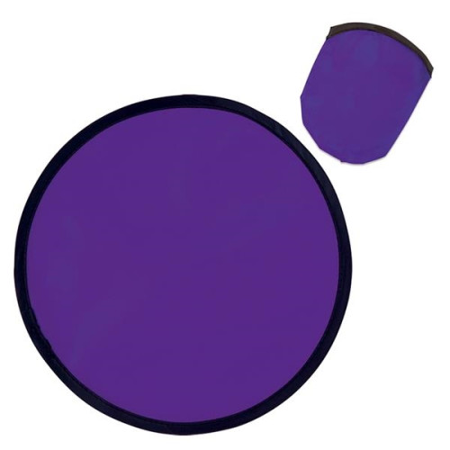 Folding Flyer With Case