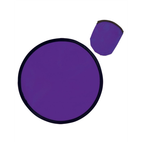 Folding Flyer With Case