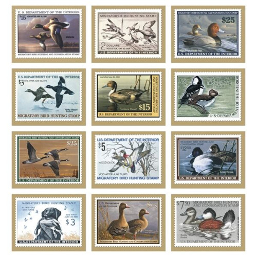 Duck Stamps