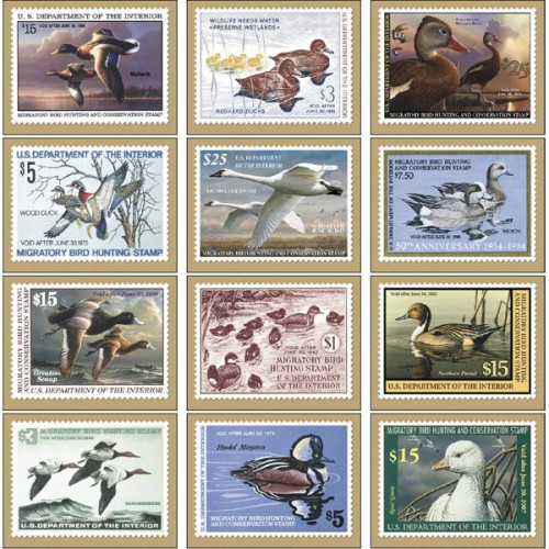 Duck Stamps