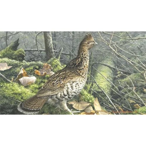 Triumph® Calendars Wildlife Art by the Hautman Brothers C...